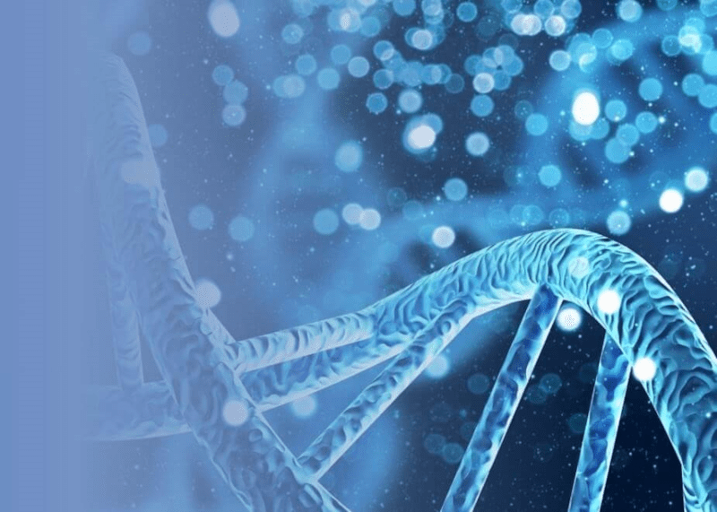 Genetics and genomics